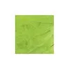 Petitjean CDC Fjädrar Mix 1 Gram -FISKESPÖN Försäljningsbutik cdc green fluo