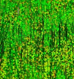 Textreme Bauer´s Pike Flash -FISKESPÖN Försäljningsbutik holo chartreuse