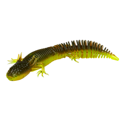 Savage Gear Ned Salamander 7,5 Cm, 5-pack